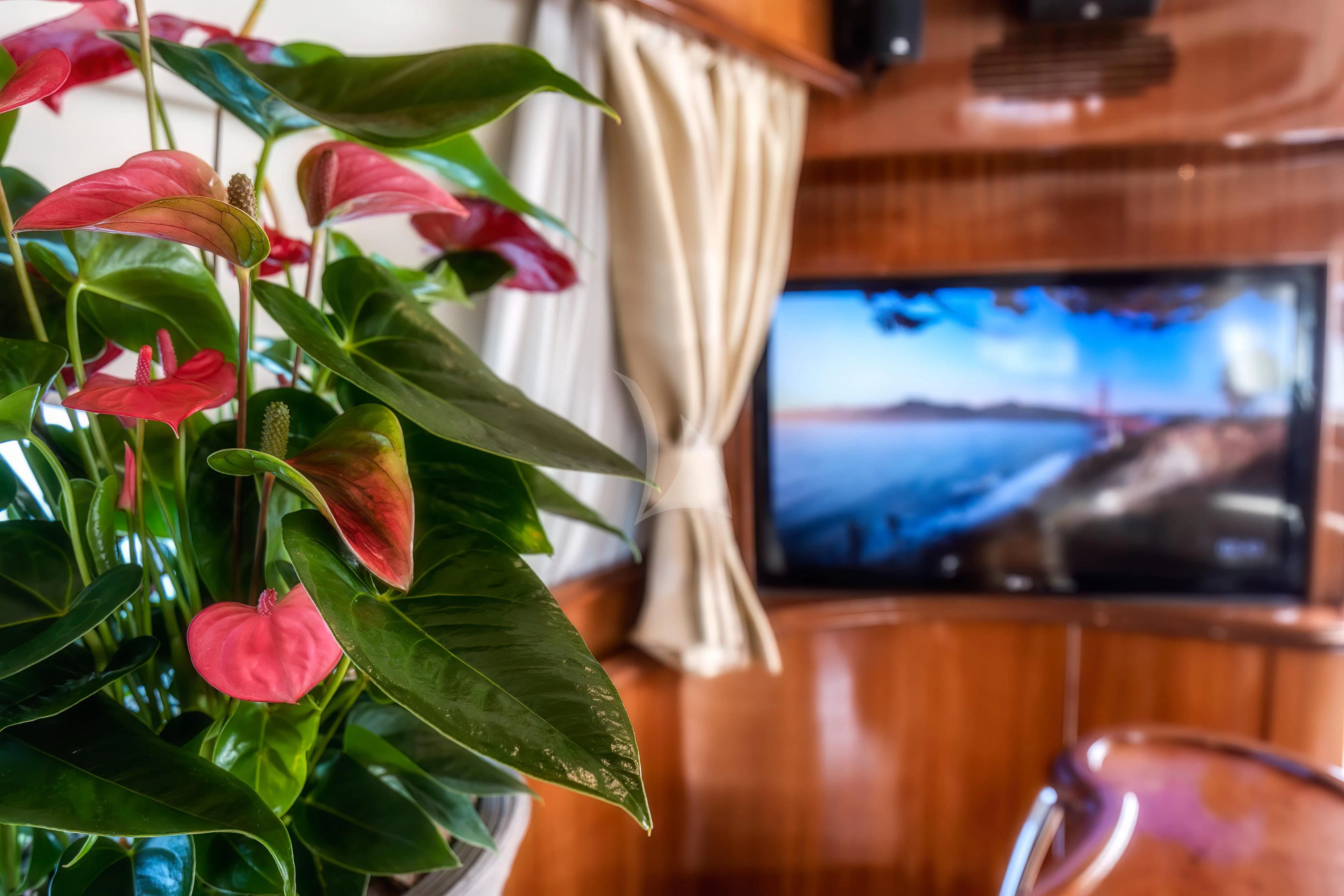 a vase with flowers aboard JAUNI Yacht for Sale