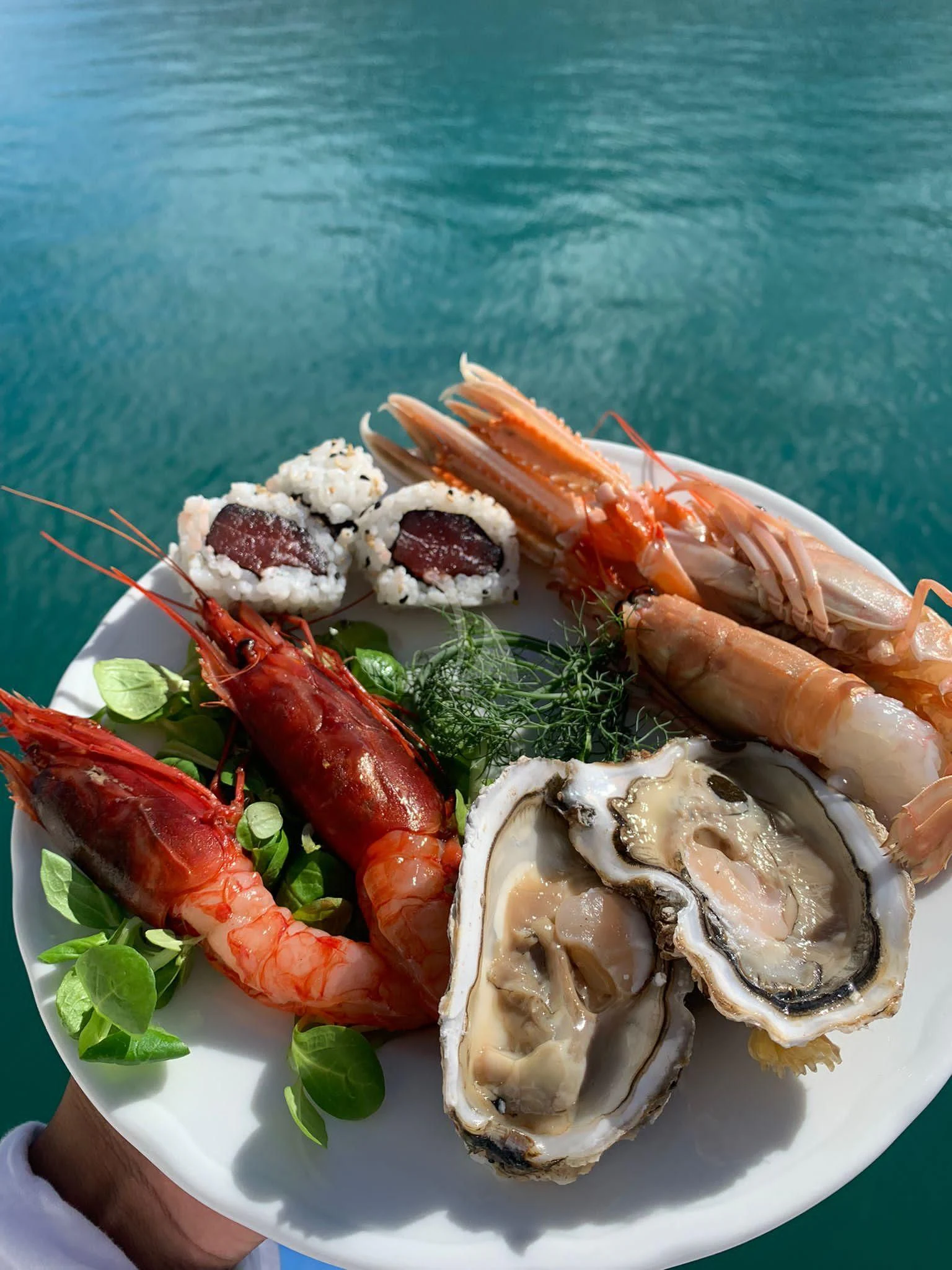 a plate of seafood aboard JAUNI Yacht for Sale
