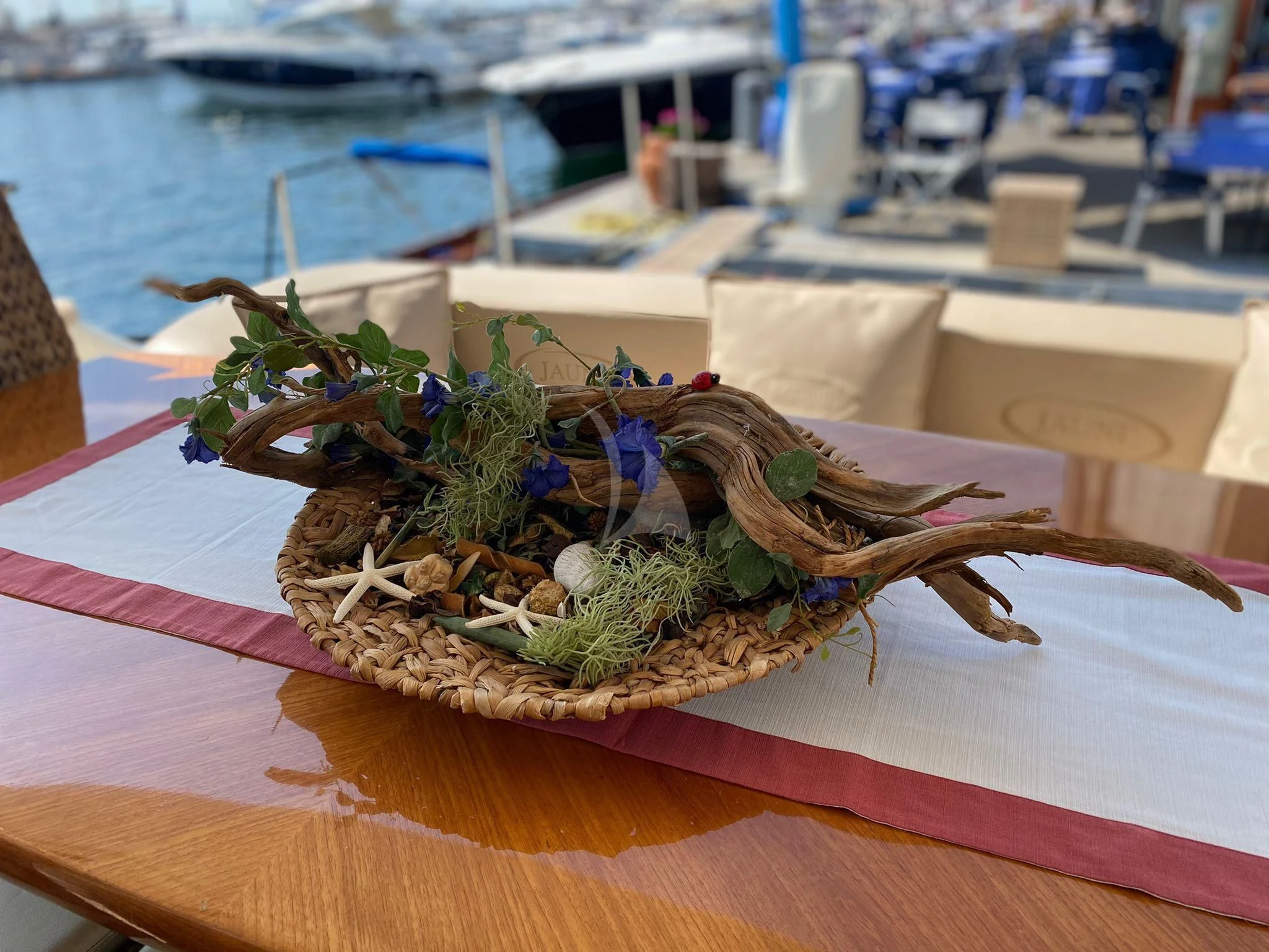 a plant on a table aboard JAUNI Yacht for Sale