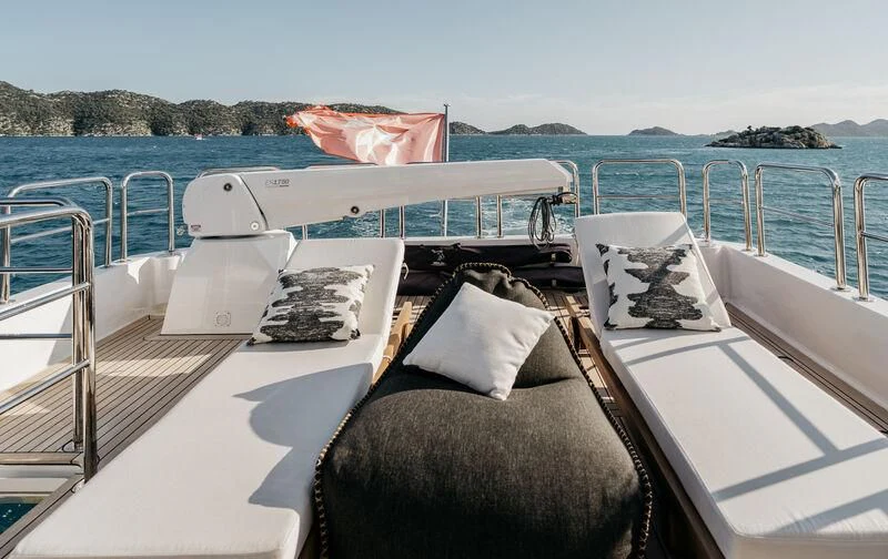 a cat sitting on a boat aboard LEMANJA Yacht for Sale