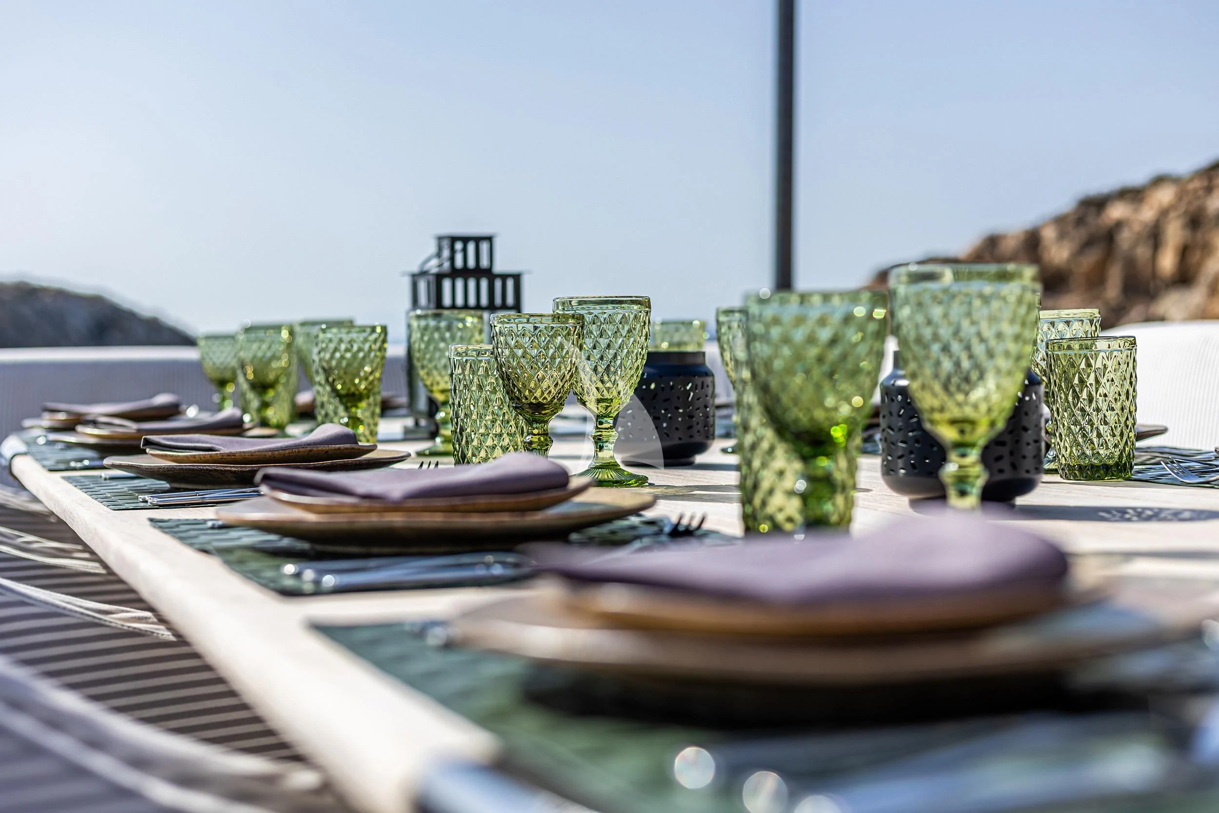 a group of cactus plants on a table aboard CAN'T REMEMBER Yacht for Sale