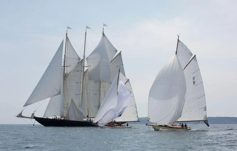 a group of sailboats on the water aboard ATLANTIC Yacht for Charter