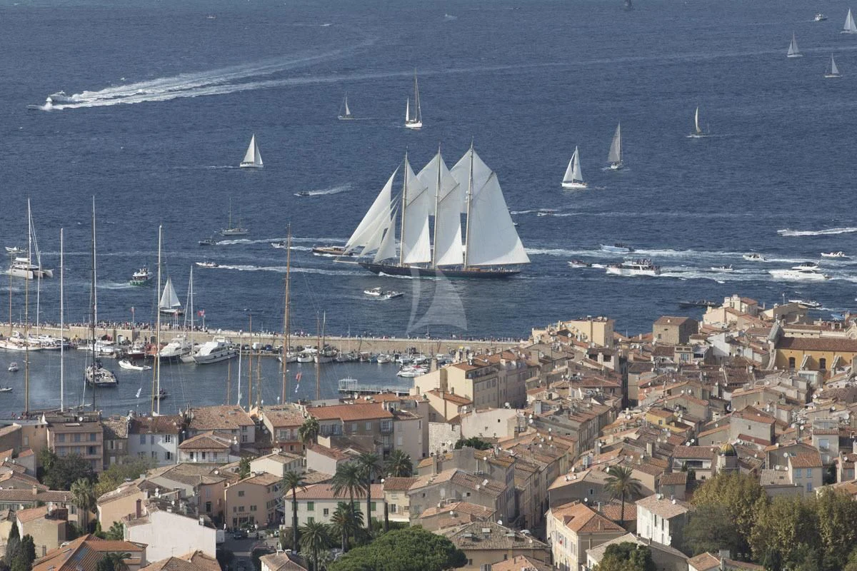 a group of sailboats in the water aboard ATLANTIC Yacht for Charter