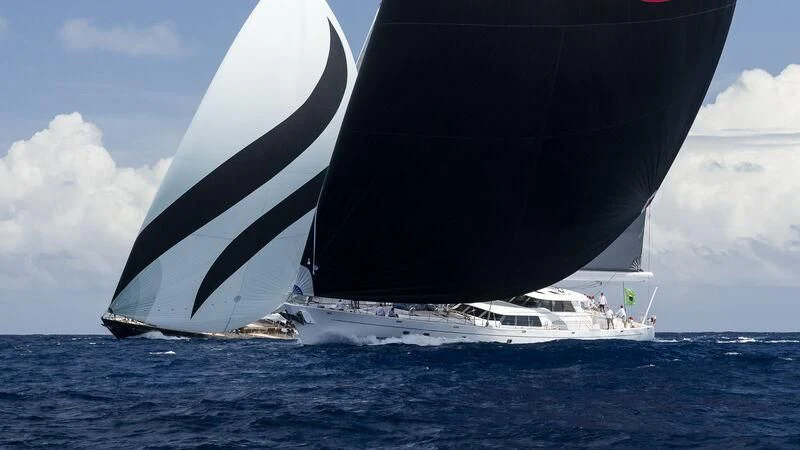 a large whale jumping out of the water aboard NILAYA Yacht for Sale
