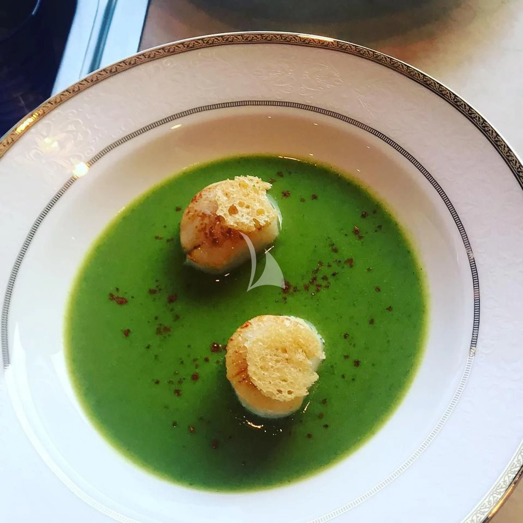 a couple of small chicks in a green bowl aboard IROCK Yacht for Sale