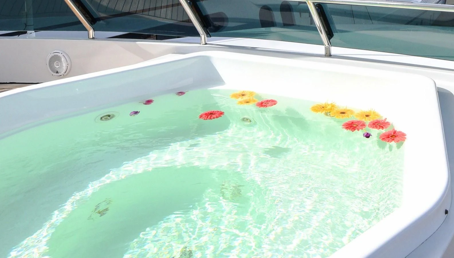a pool with colorful fish aboard TE MANU Yacht for Charter