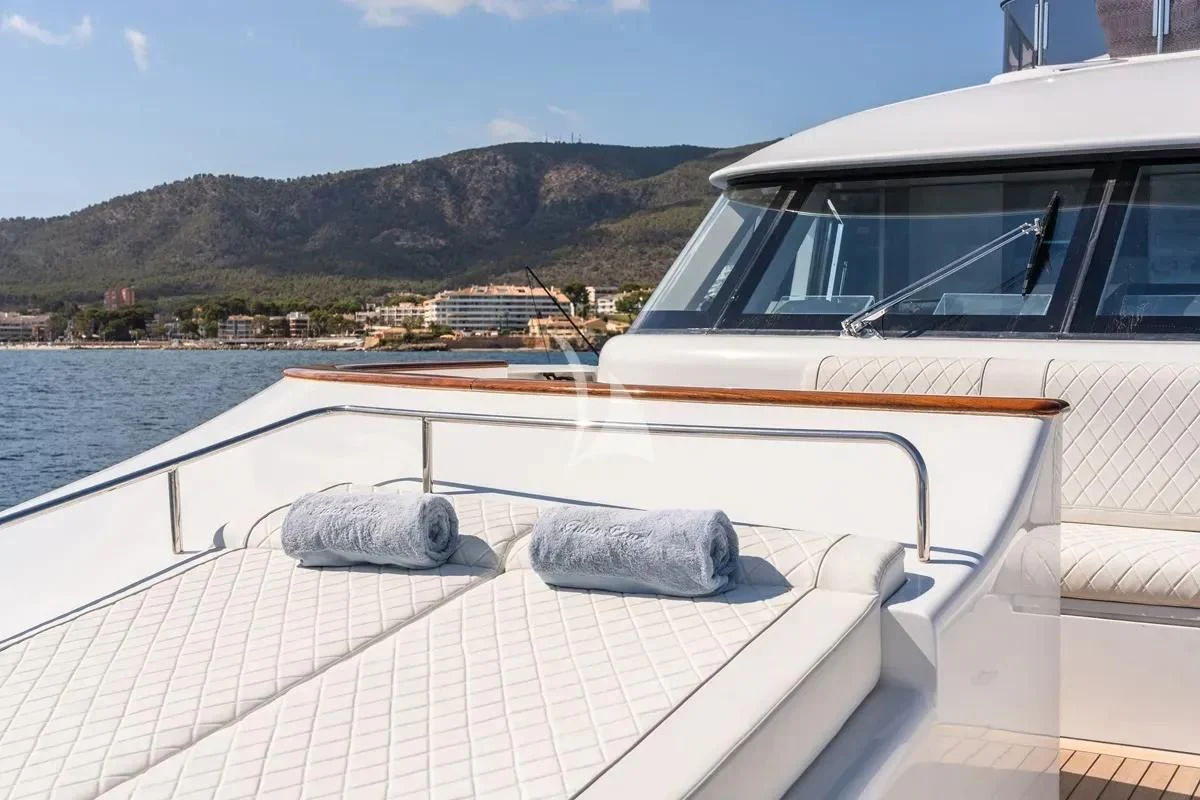 a seal on a boat aboard TITIAN PEARL Yacht for Sale