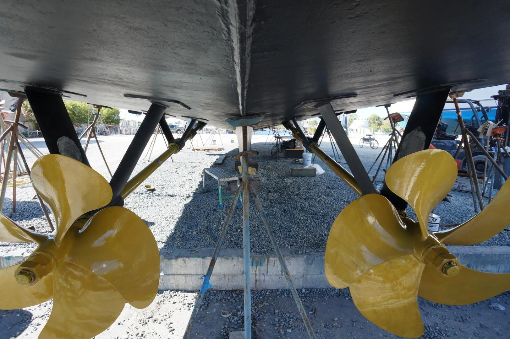 a group of yellow fish in a tank aboard SEAQUEST Yacht for Sale
