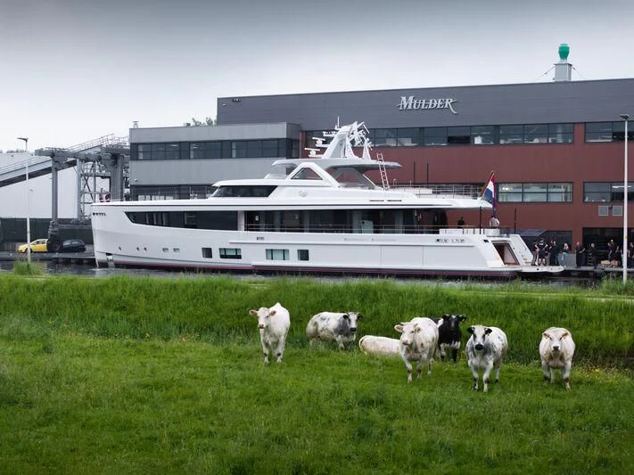 a group of cows in front of a white bus aboard SEAFLOWER Yacht for Sale