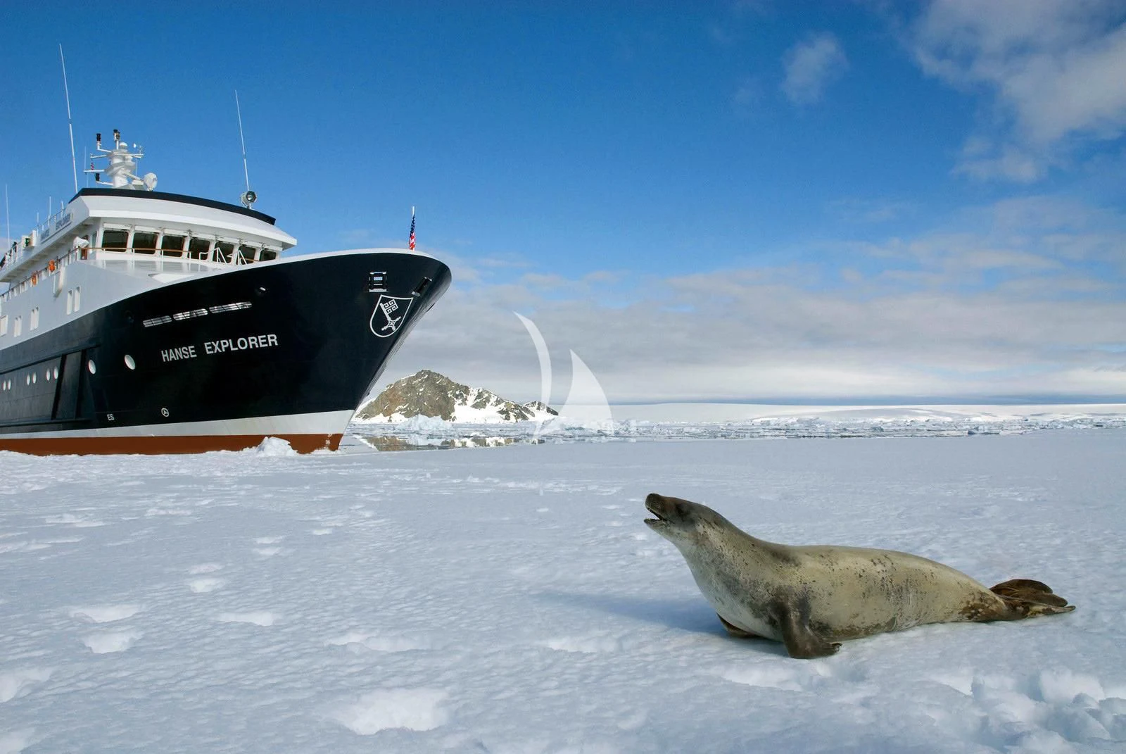 a sea animal lying on the snow aboard HANSE EXPLORER Yacht for Sale