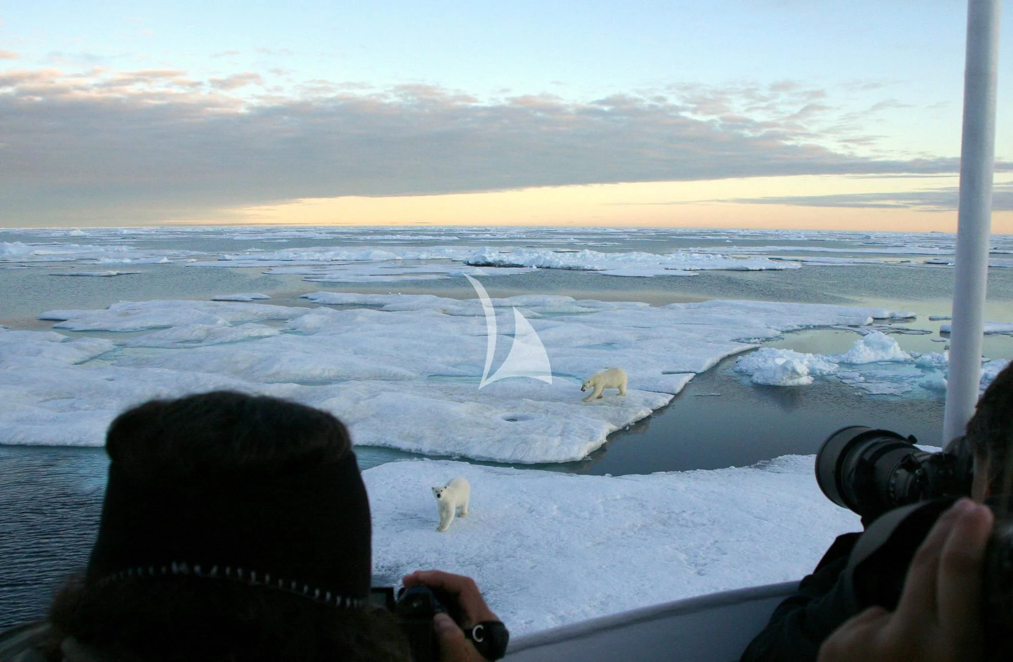 a bird on a snowy landscape aboard HANSE EXPLORER Yacht for Sale