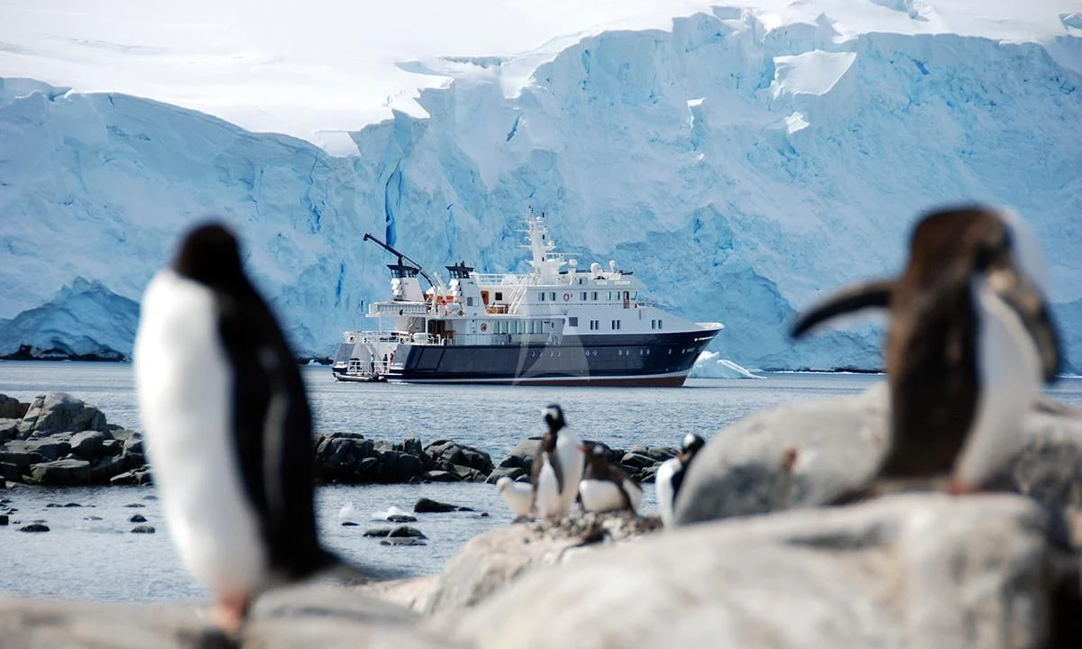 penguins and a boat in the water aboard HANSE EXPLORER Yacht for Sale