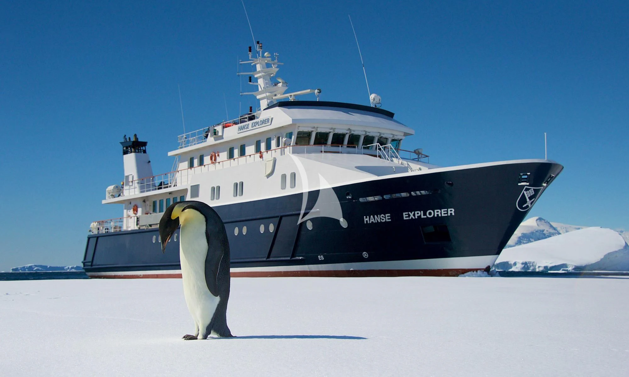 a penguin on a boat aboard HANSE EXPLORER Yacht for Sale