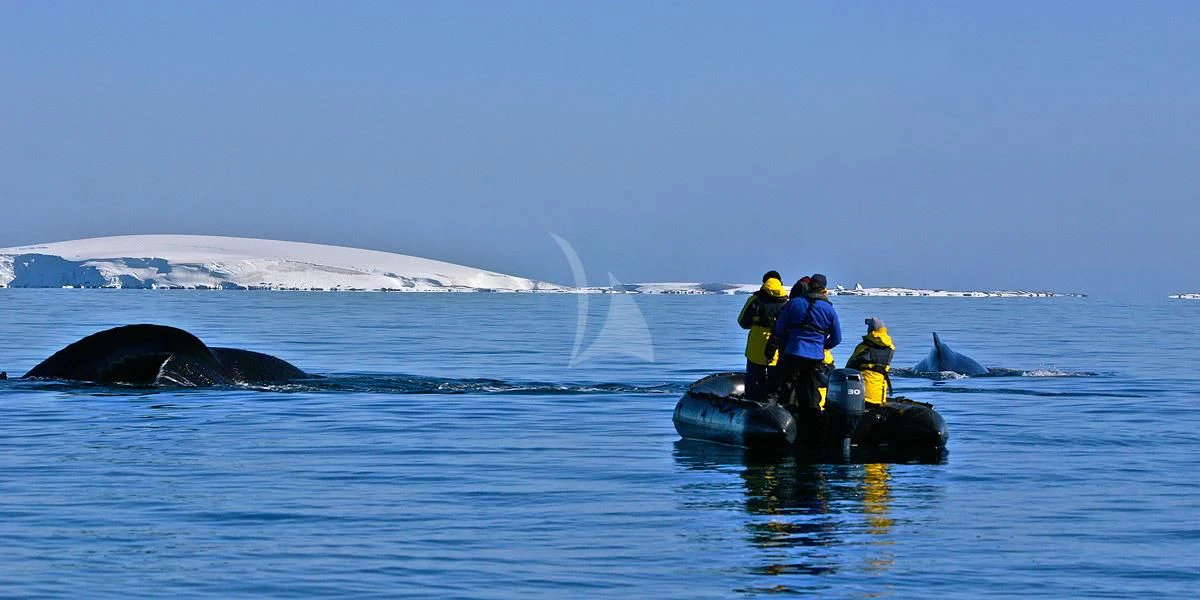 a group of people standing on rocks in water aboard HANSE EXPLORER Yacht for Sale