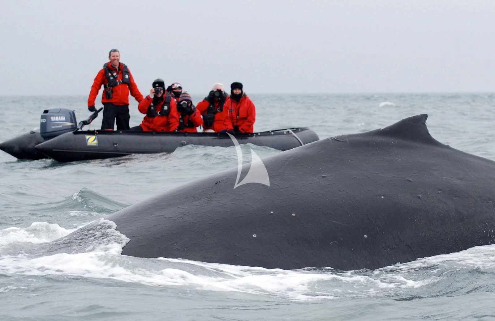 a group of people in a boat aboard HANSE EXPLORER Yacht for Sale