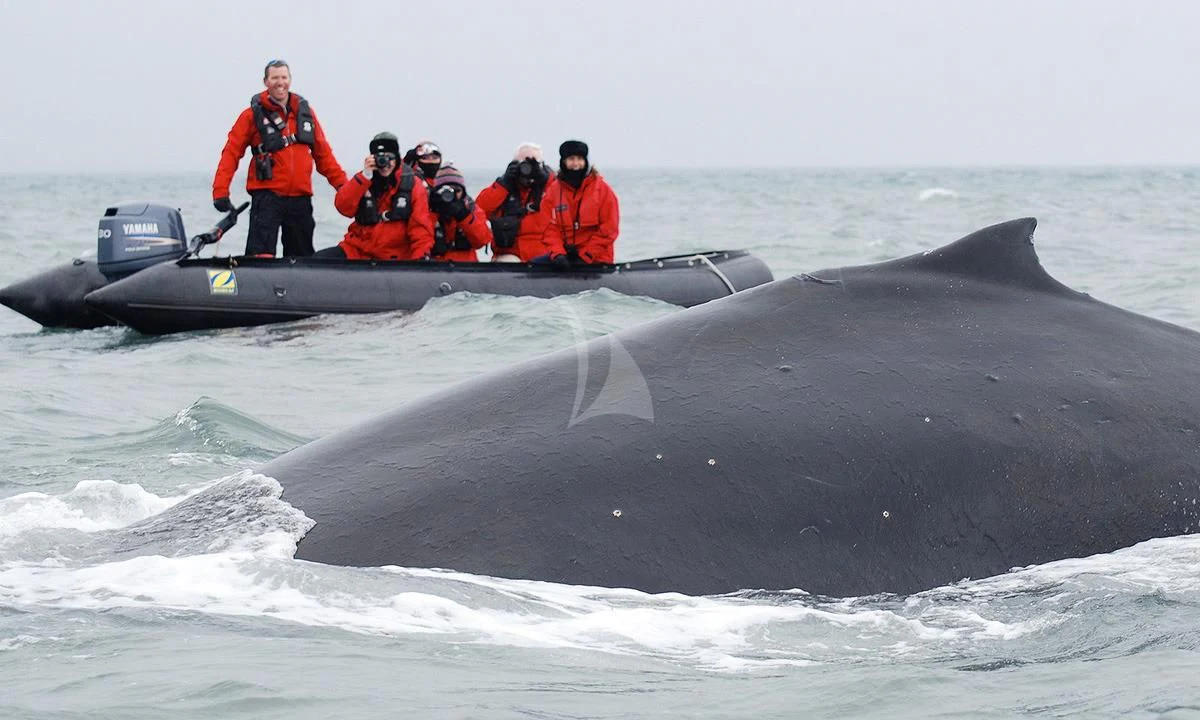 a group of people on a boat aboard HANSE EXPLORER Yacht for Sale