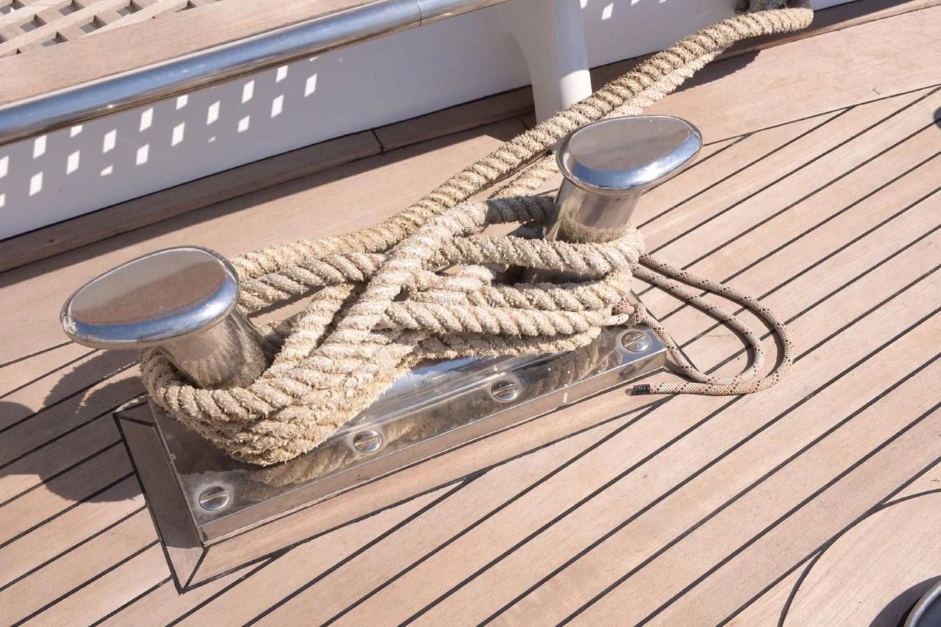 a fish on a table aboard MISTER P Yacht for Sale