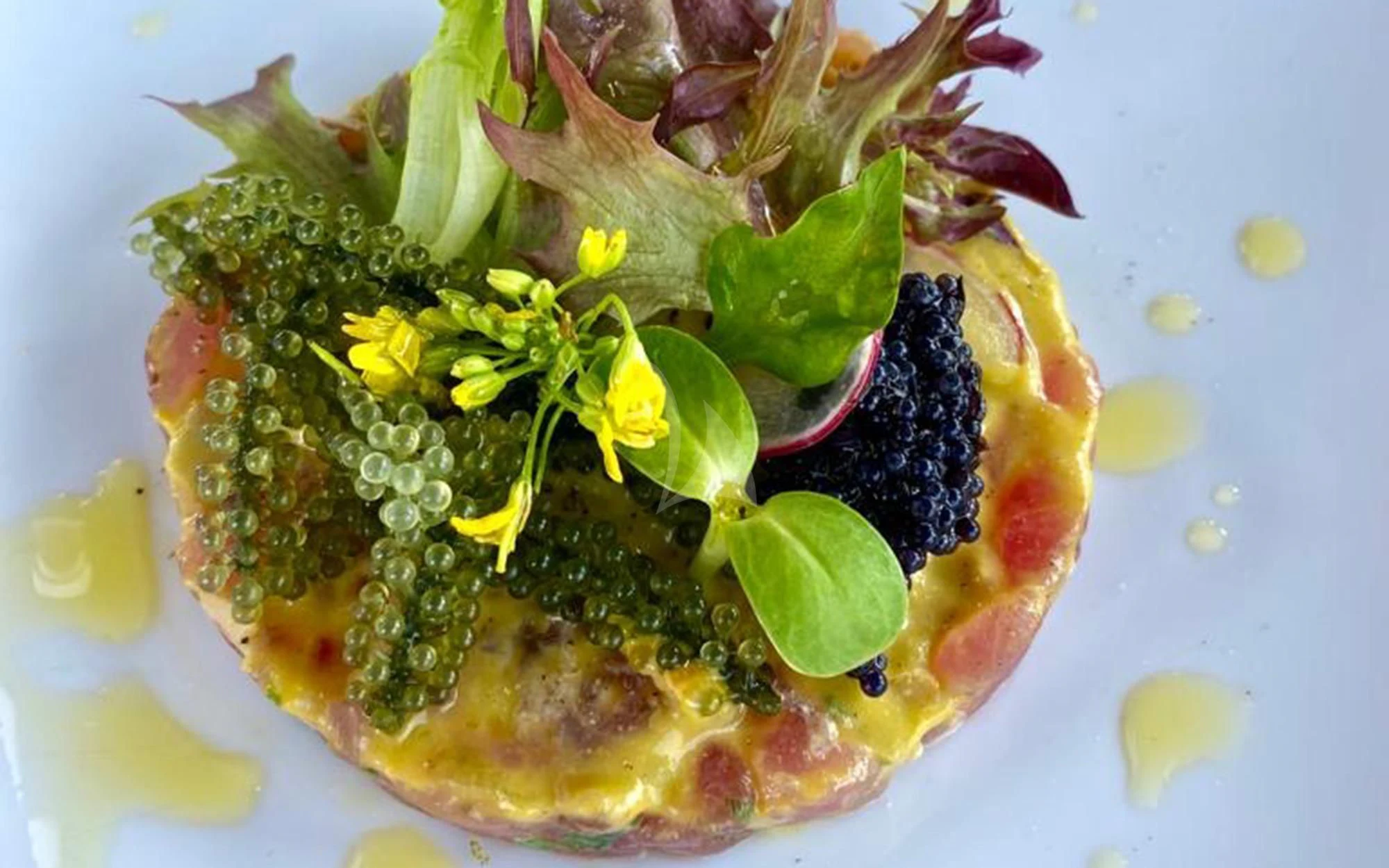 a plate of food aboard MIA KAI Yacht for Charter