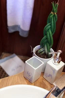 a plant in a pot aboard LOTTY Yacht for Sale