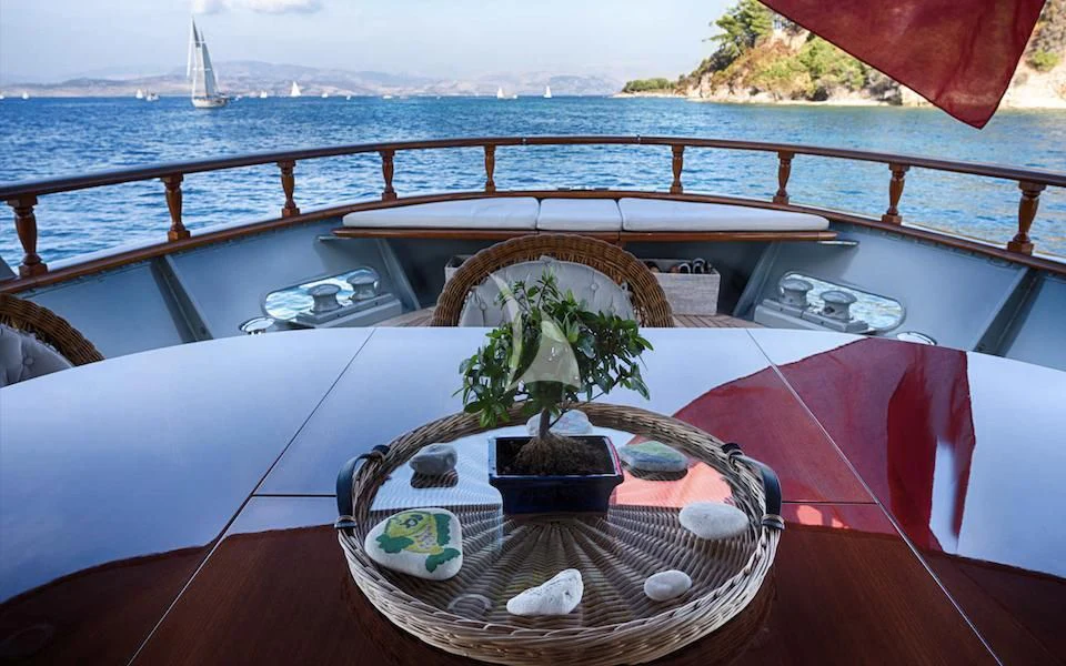 a plant in a pot on a boat aboard JURA II Yacht for Sale