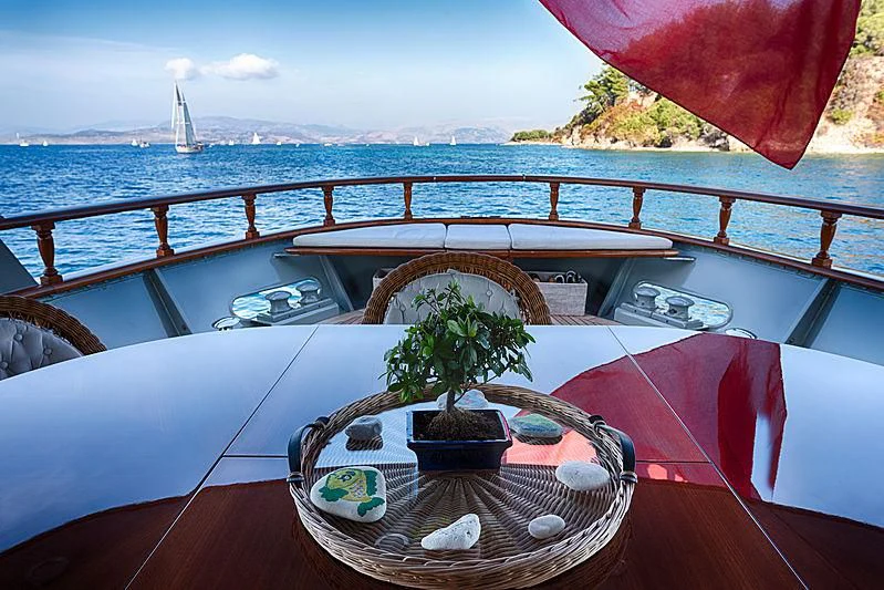 a plant in a pot on a boat aboard JURA II Yacht for Sale