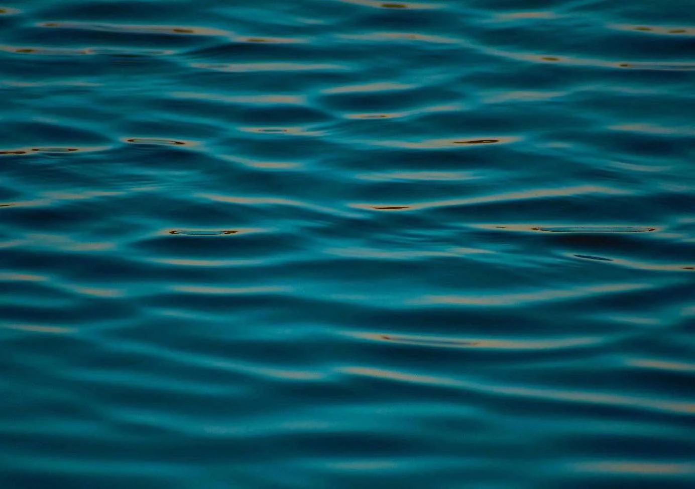 a body of water with a few small orange fish in it aboard ALLURES Yacht for Charter