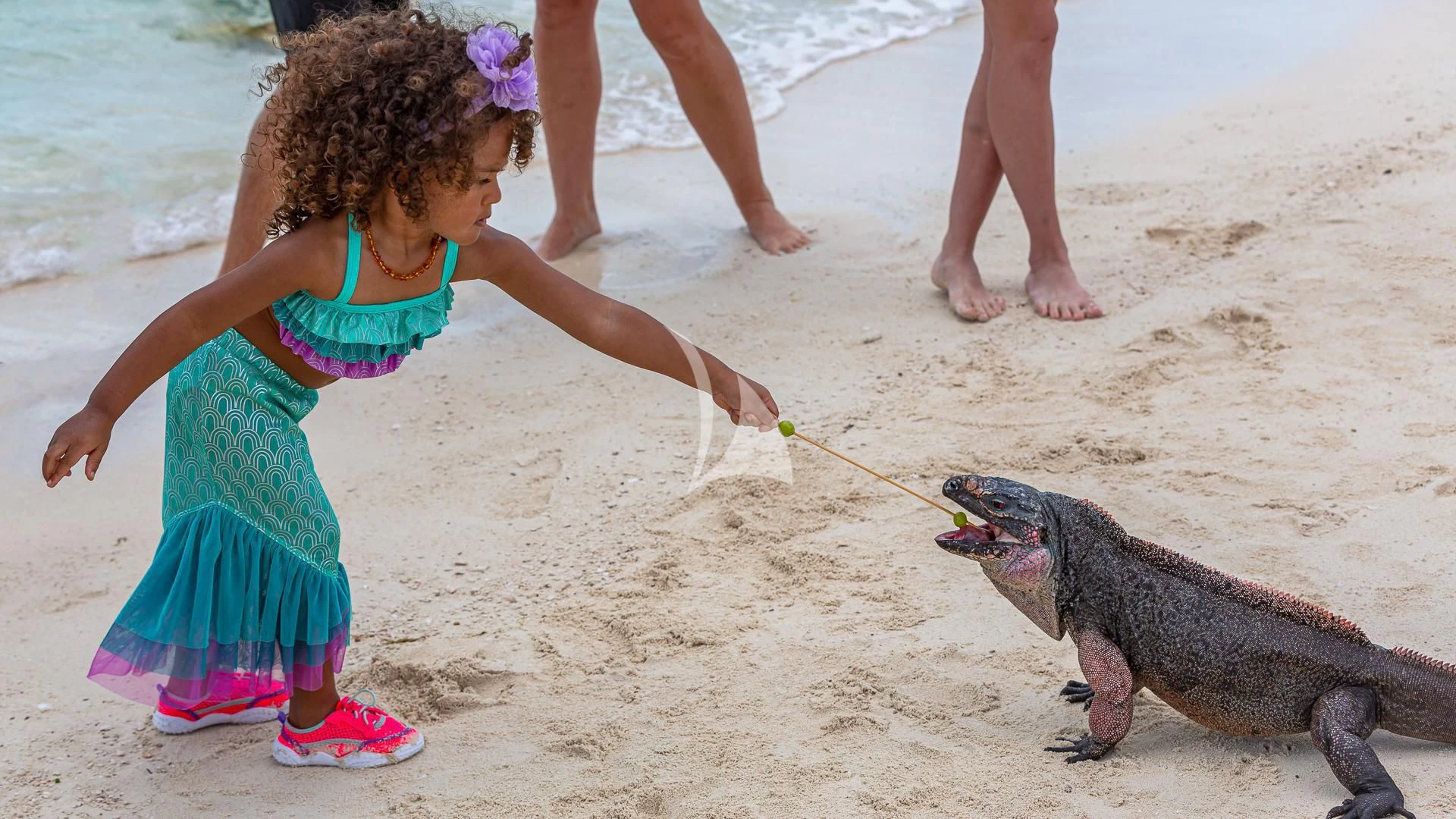 a girl holding a lizard on a beach aboard STARSHIP Yacht for Charter