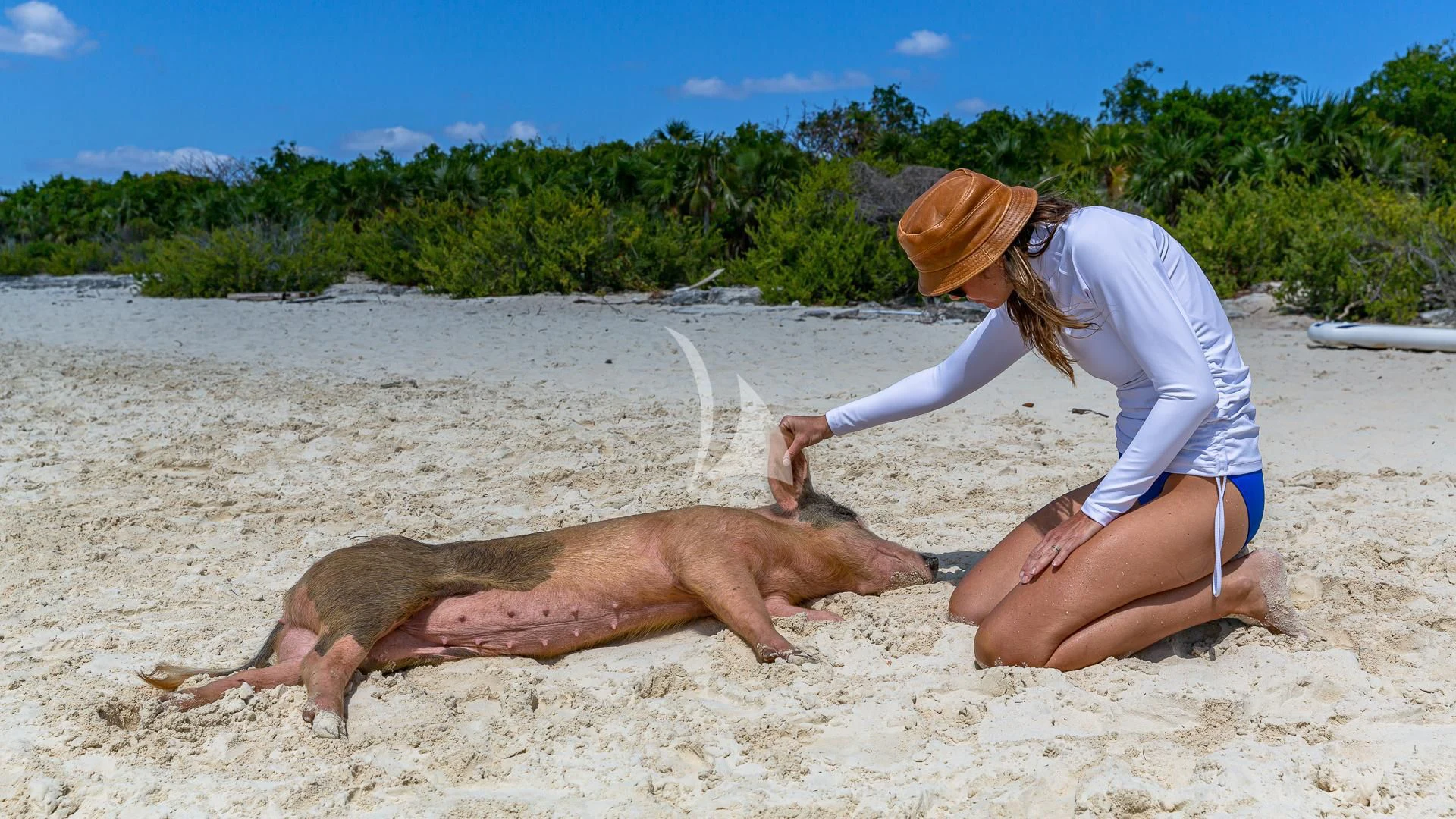a man sitting on the beach with a dog aboard STARSHIP Yacht for Charter