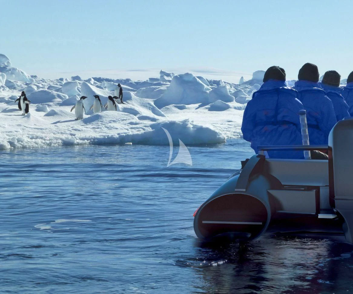 a group of people sitting on chairs in the water with penguins in the background aboard SCENIC ECLIPSE Yacht for Sale