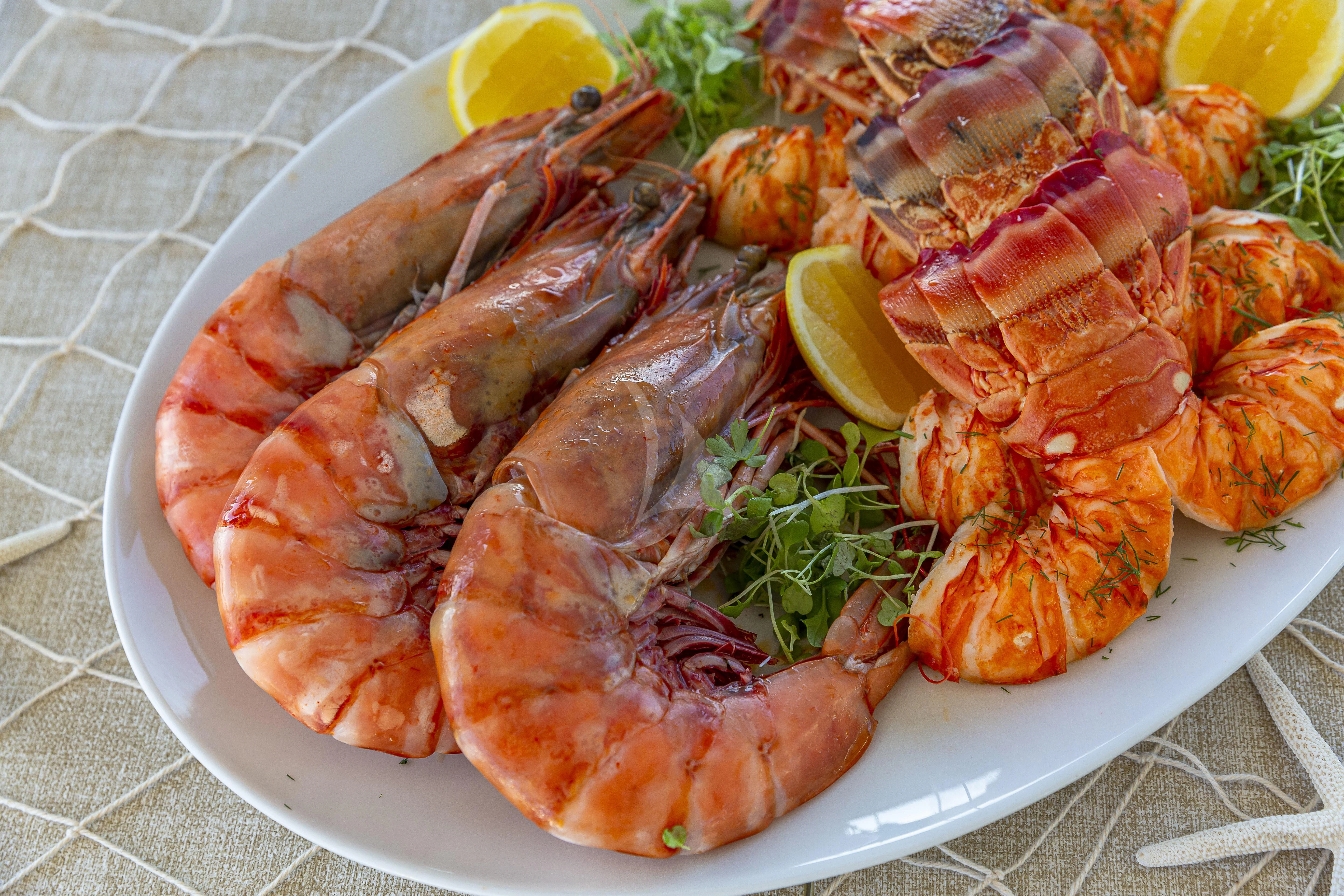 a plate of seafood aboard NO MATTER WHAT Yacht for Charter