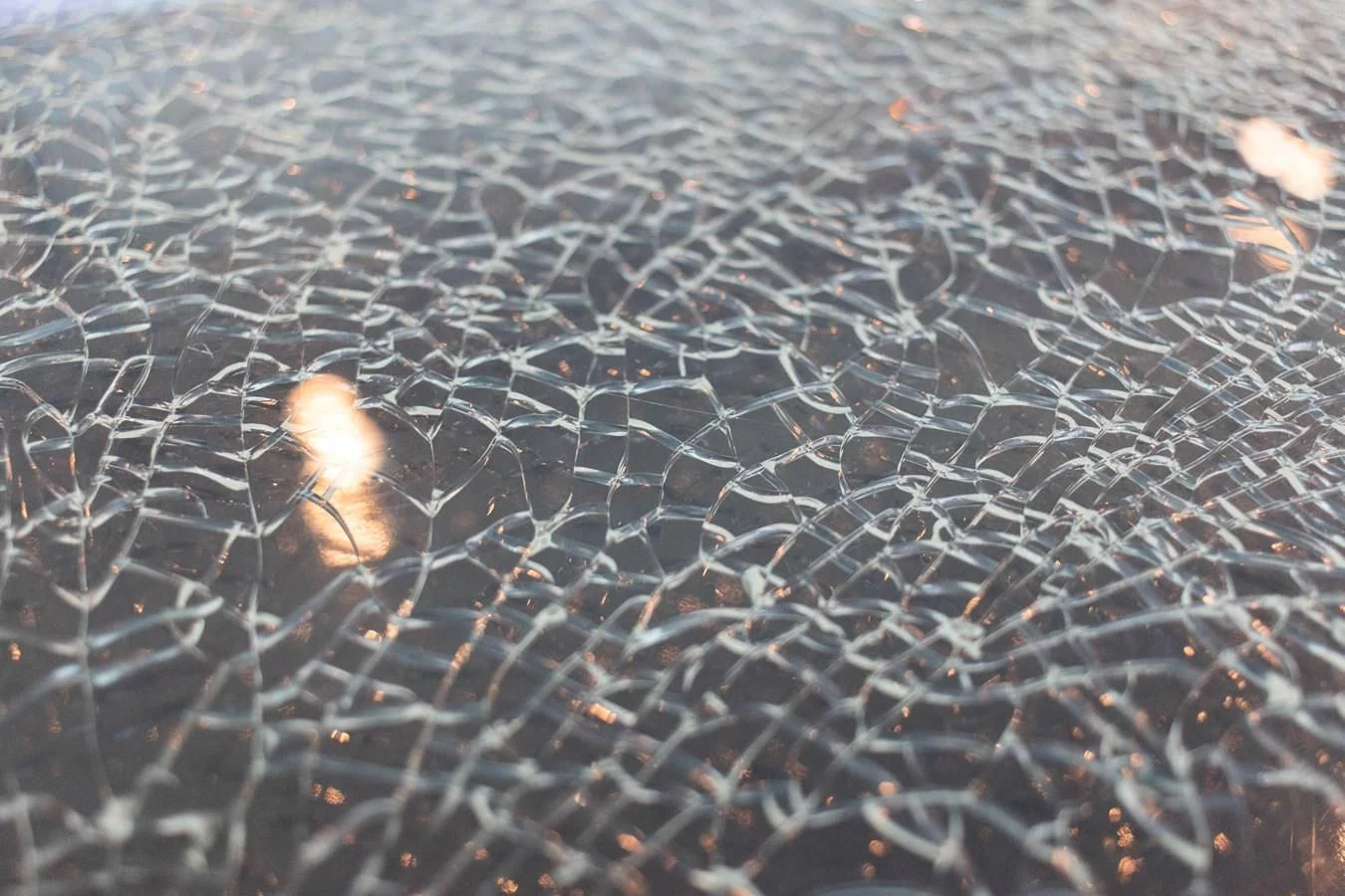 a close up of a mushroom aboard ASHLEY Yacht for Sale