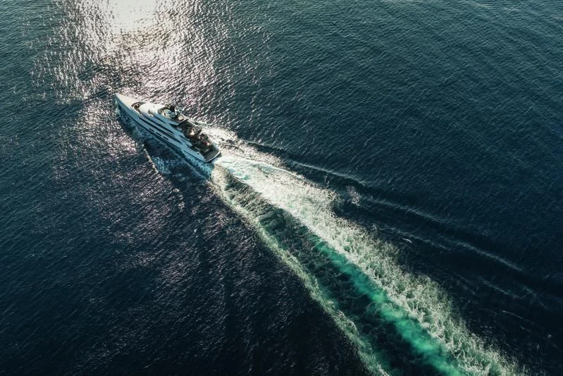 a small alligator swimming in water aboard TRIUMPH Yacht for Sale