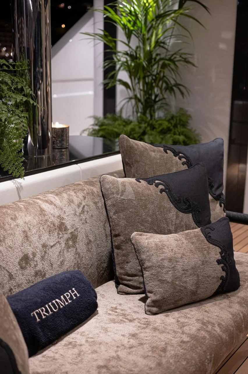 a couch with pillows and a plant aboard TRIUMPH Yacht for Sale