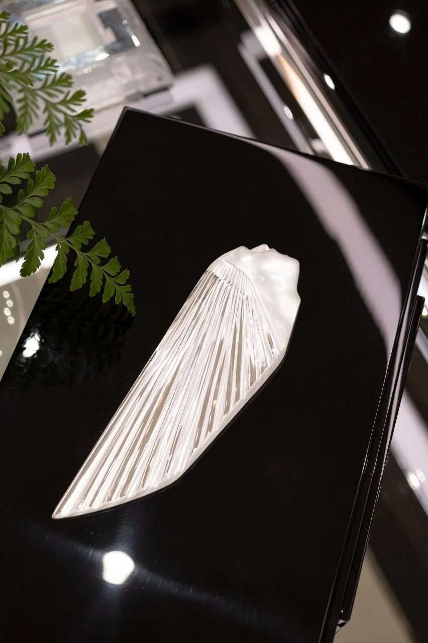 a white feather on a black surface aboard TRIUMPH Yacht for Sale