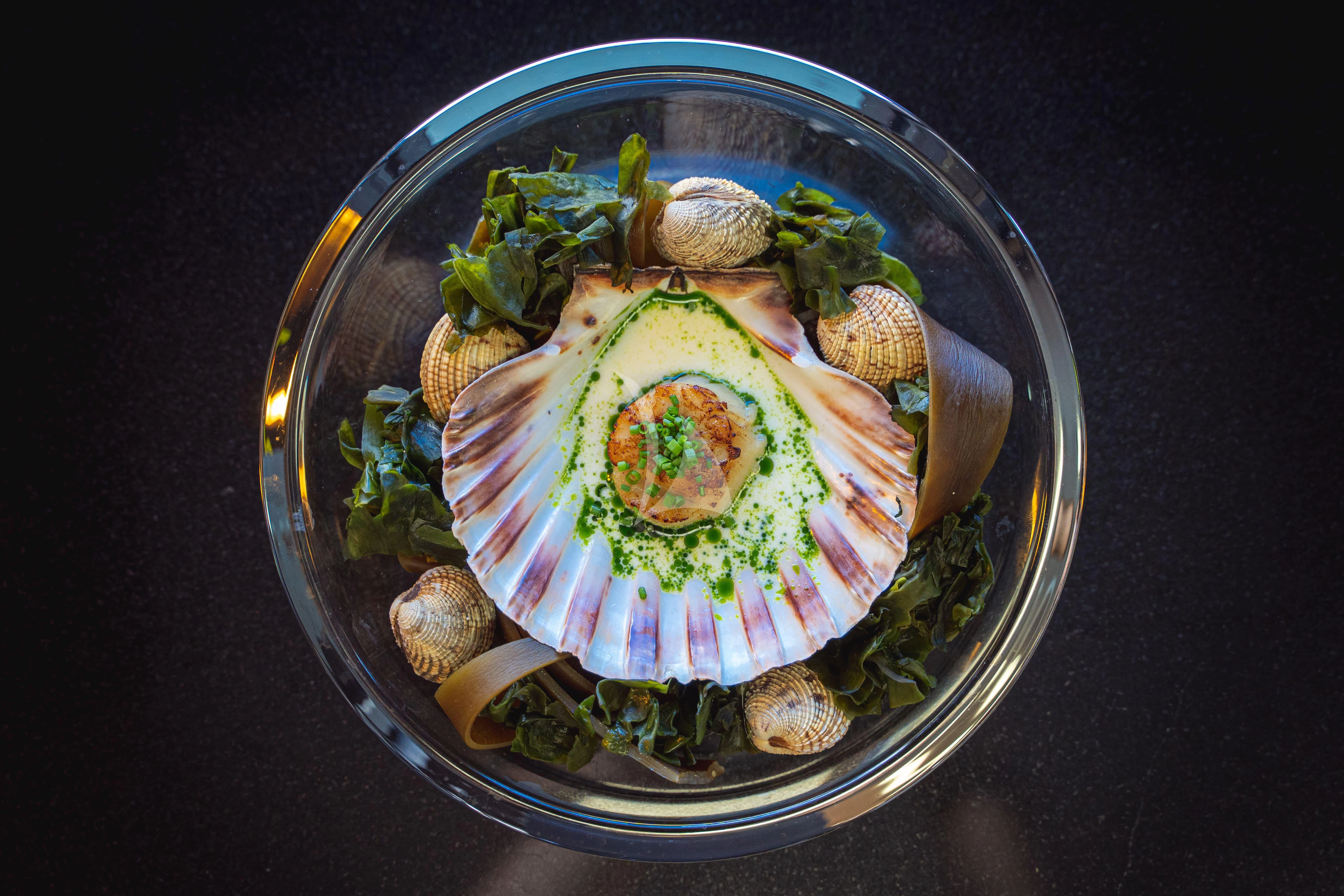 a plate of food aboard TRIDENT Yacht for Charter