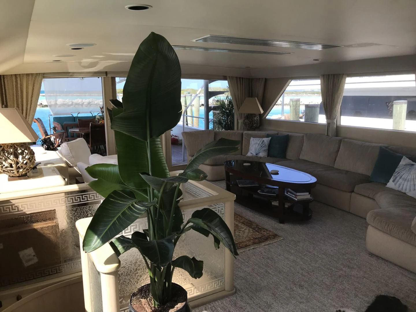 a large green cactus in a living room aboard MON SHERI Yacht for Sale