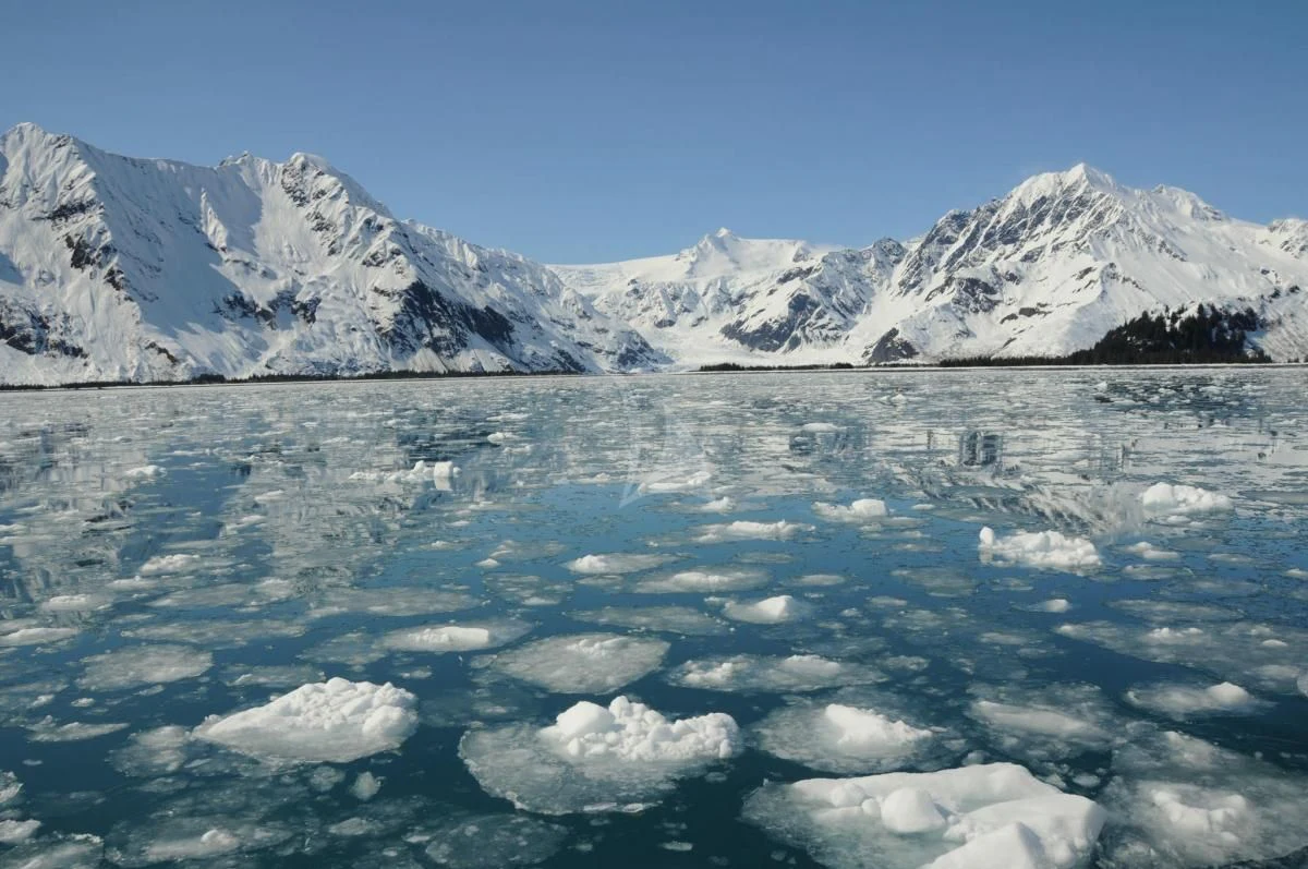 ice on the water aboard BLACKWOOD Yacht for Sale