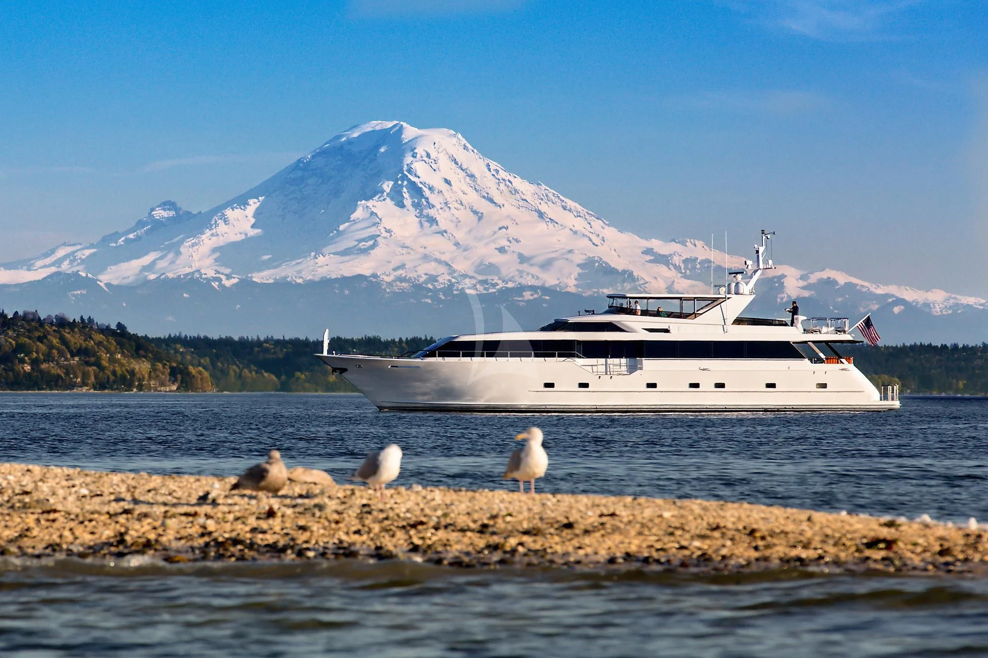 a boat on the water with birds in front of it aboard BLACKWOOD Yacht for Sale