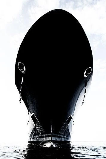 a whale jumping out of the water aboard ZIA Yacht for Sale