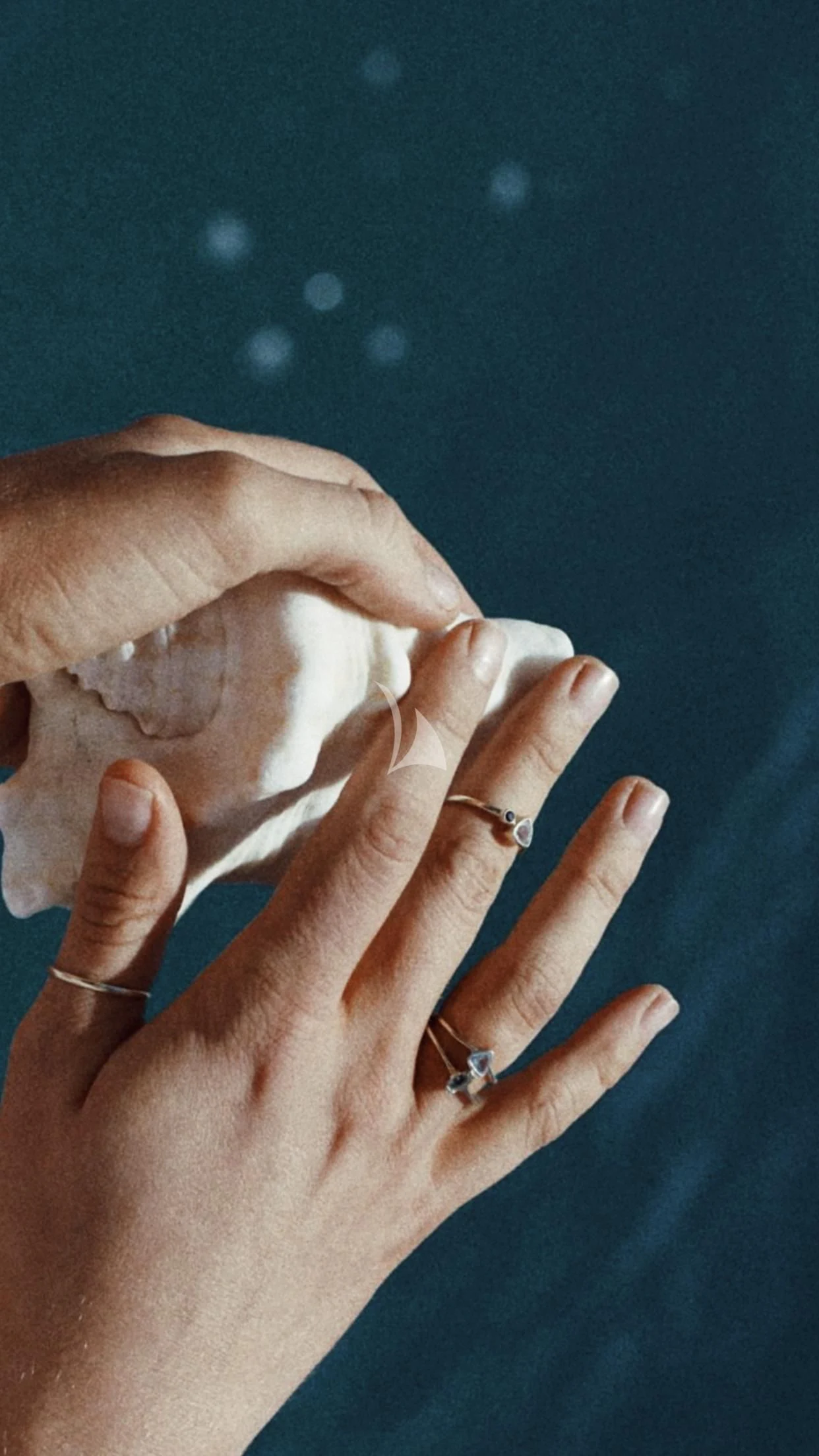 a hand with rings on it aboard DE LISLE III Yacht for Sale