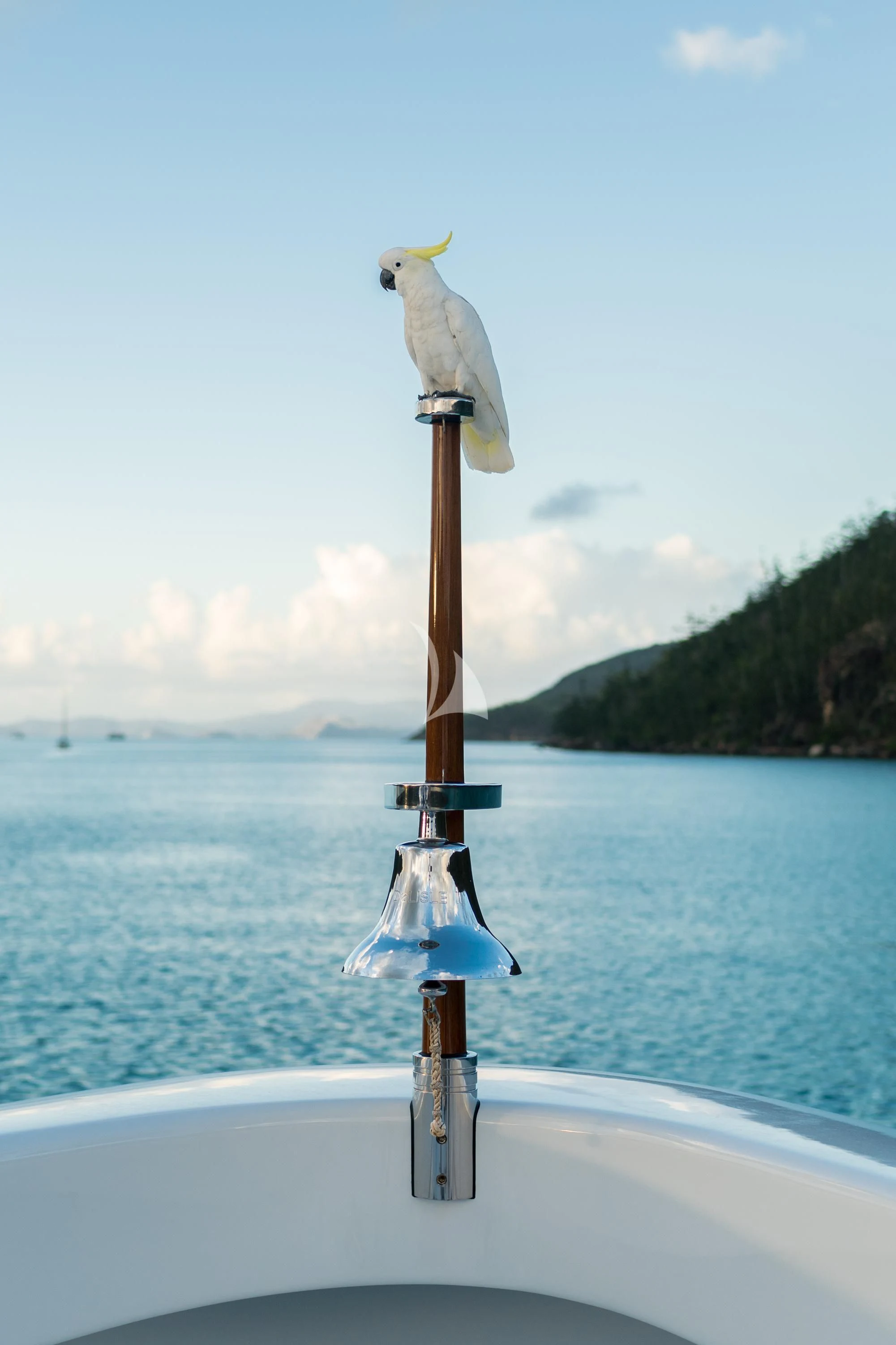 a seagull on a pole aboard DE LISLE III Yacht for Sale