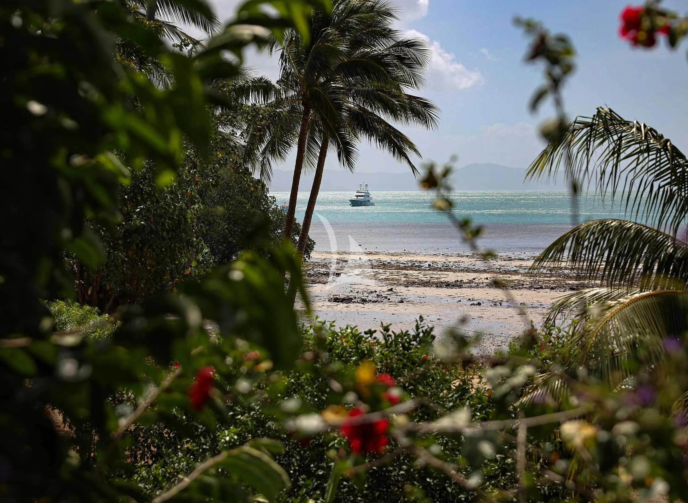 a beach with palm trees aboard VIVIERAE II Yacht for Sale