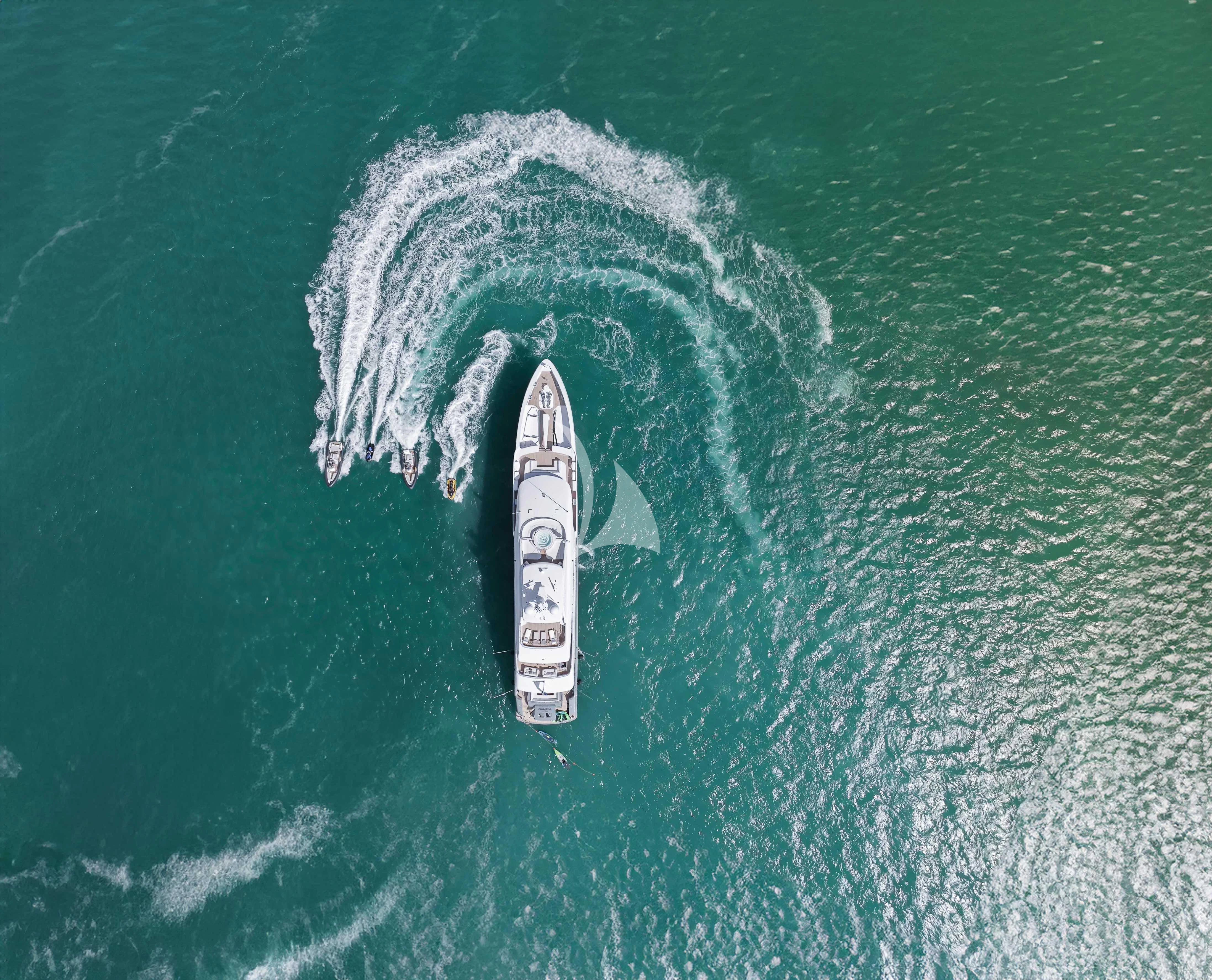 a shark swimming in the water aboard RELIANCE Yacht for Sale