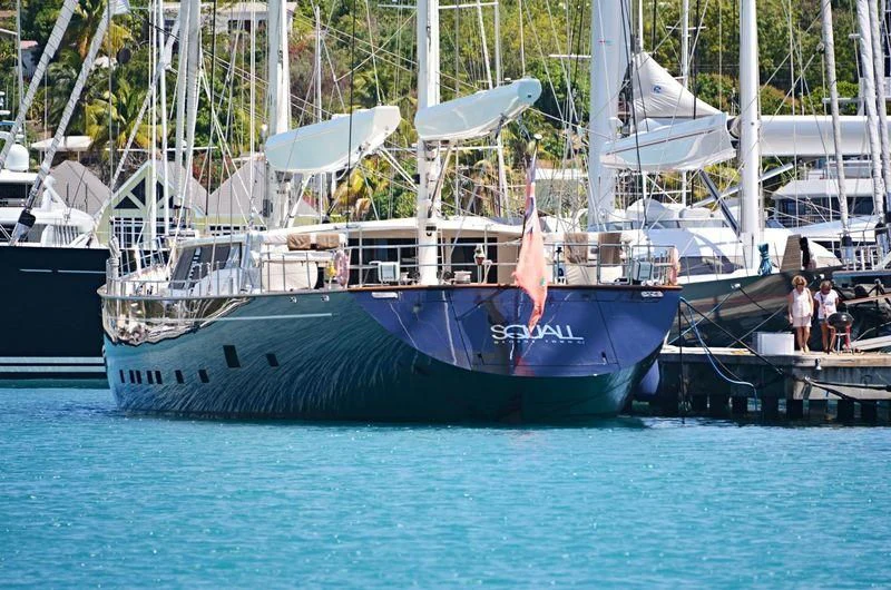 a boat with a dolphin in the water aboard SQUALL Yacht for Sale