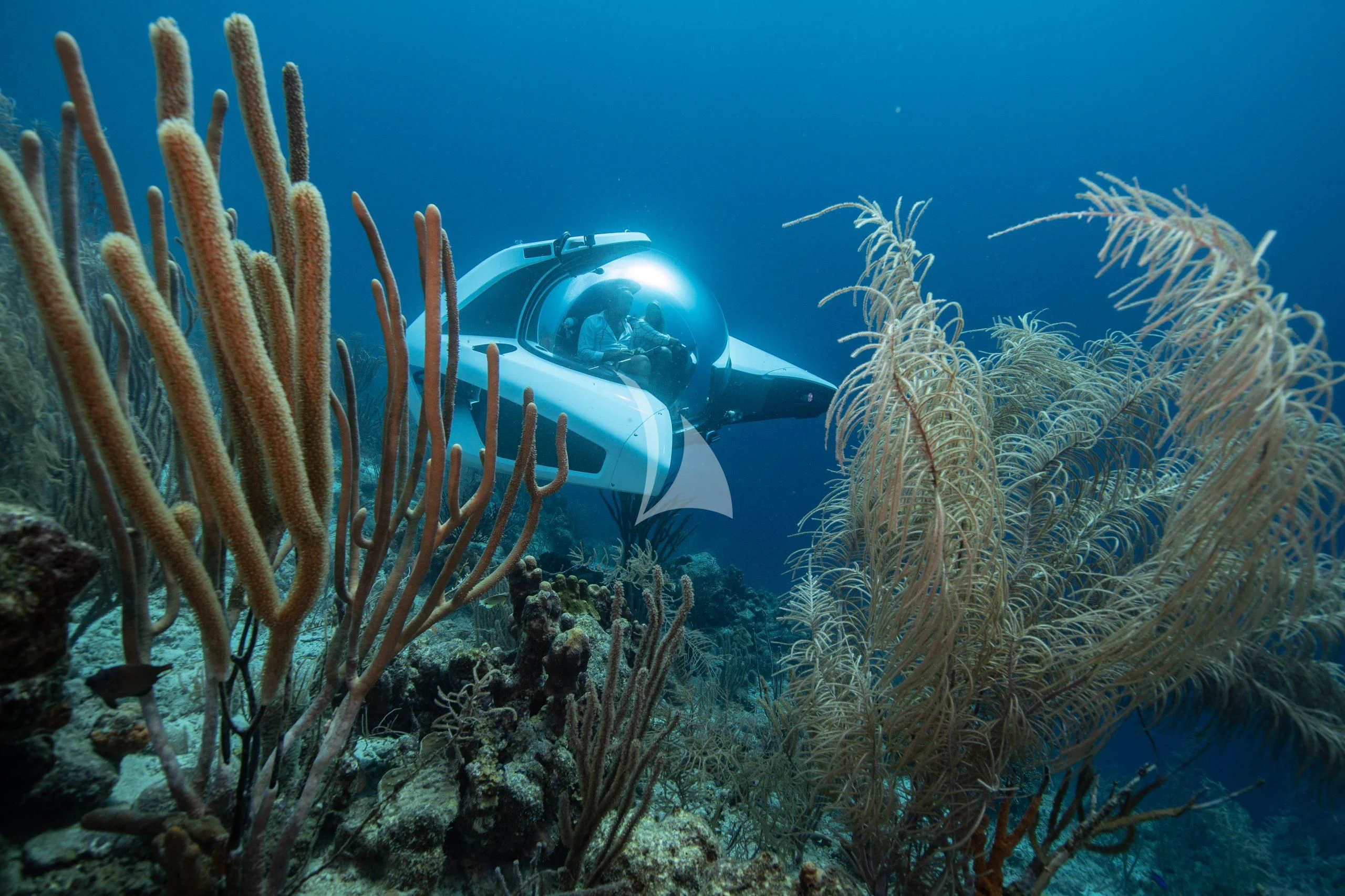 a scuba diver in a sea aboard OURWAY Yacht for Sale