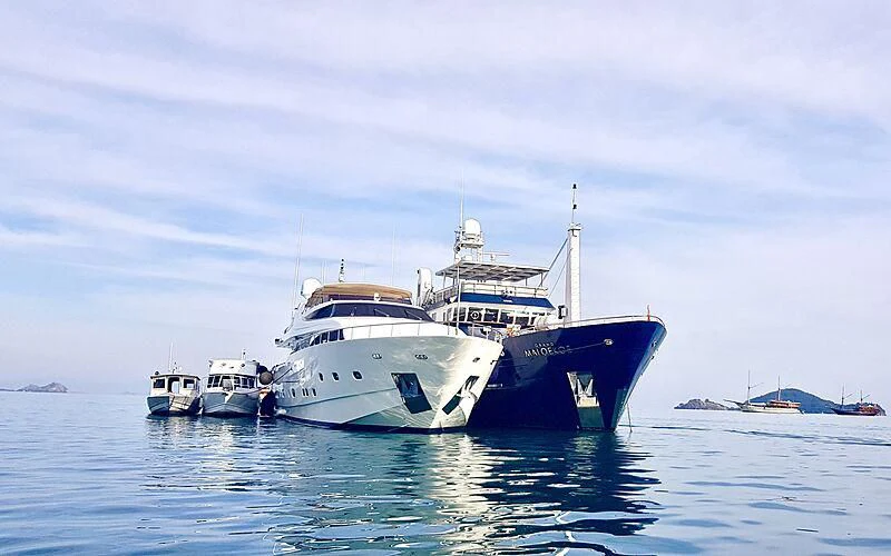 a group of boats in the water aboard EAGLE WINGS 3 Yacht for Sale