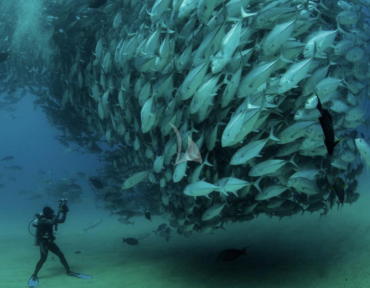 a person walking with a gun aboard LA DATCHA Yacht for Sale