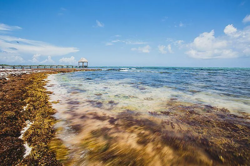 a beach with water and a pier aboard YERSIN Yacht for Charter