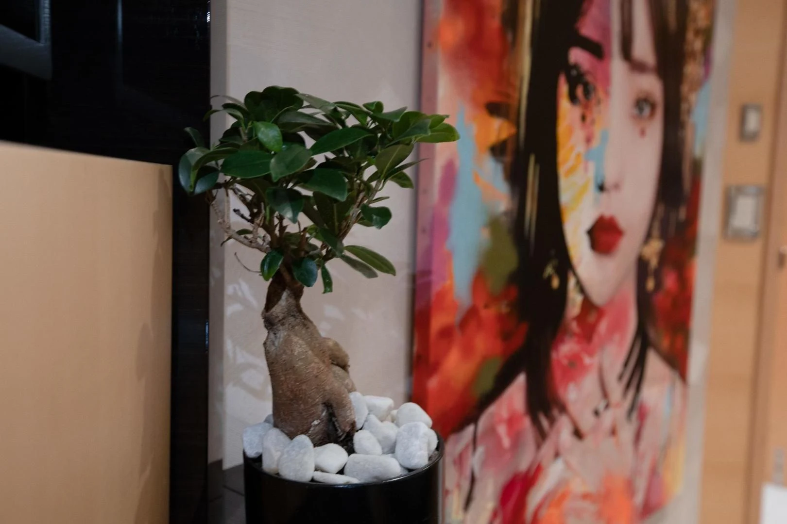 a plant in a pot aboard KJOS Yacht for Charter