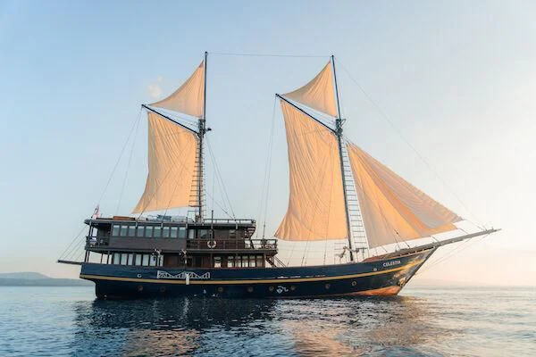 a large boat in the water aboard CELESTIA Yacht for Sale